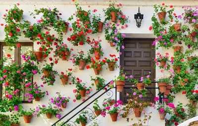 Jardín al aire libre en Sultana Homes