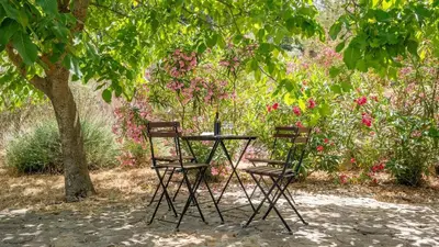 Jardín al aire libre en La Casa 1950 Montefrío by Ruralidays