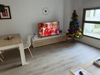 Una televisión o centro de entretenimiento en Apartamento de Lujo Gran Capitán en el Centro