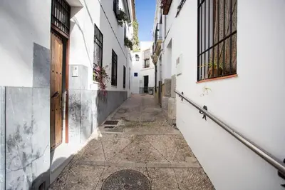 El barrio de los alrededores o un barrio cerca de este apartamento