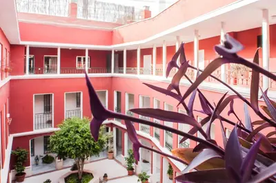 Jardín al aire libre en Conde Ibarra Suite