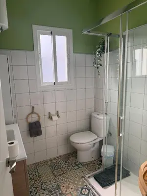 Un baño de Sevilla centro - Alcázares D
