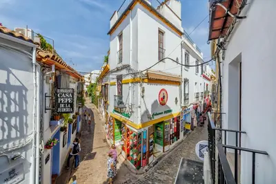 El barrio de los alrededores o un barrio cerca de este apartamento