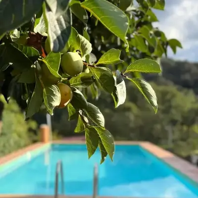 Casa Rural Orilla del Hueznar
