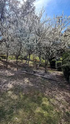 Jardín al aire libre en casa rural Ribera del Hueznar