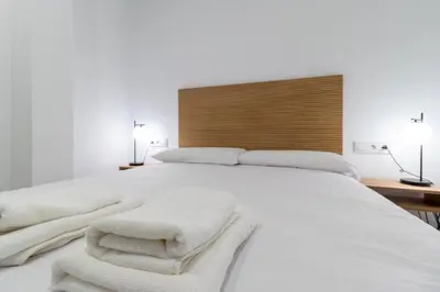 Cama o camas de una habitación en Apartamentos BN Suite Centro