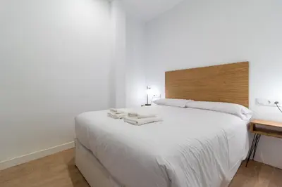 Cama o camas de una habitación en Apartamentos BN Suite Centro
