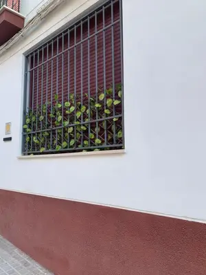 Plano de Estudio Puerta del Sol
