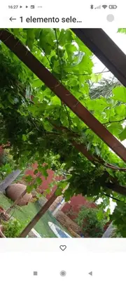 Plano de Apartamentos las palmeras