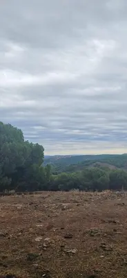 Paisaje cerca de esta casa o chalet