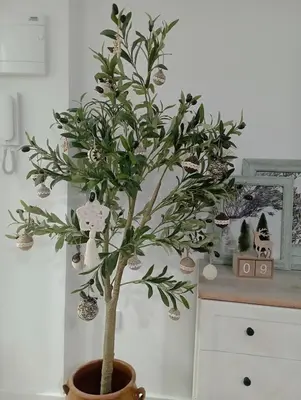 Una cocina o zona de cocina en El Olivo Verde