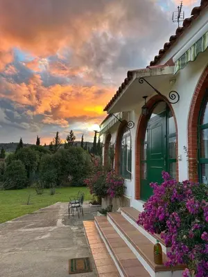 Jardín al aire libre en Casita Higo