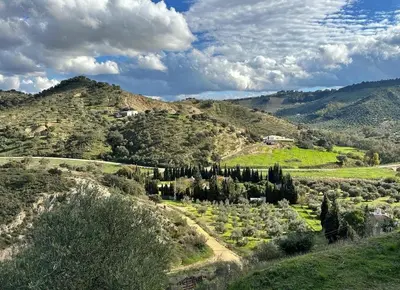 Paisaje cerca de esta casa o chalet