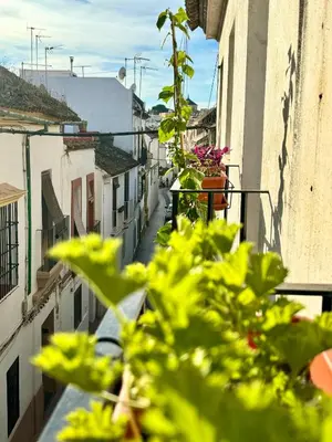 Edificio en el que se encuentra el apartamento