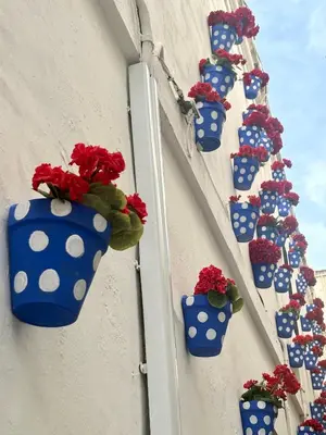 Un balcón o terraza de La buganvilla De Santiago