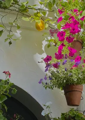 Jardín al aire libre en La buganvilla De Santiago
