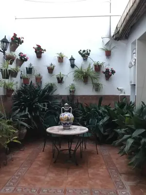 Un balcón o terraza de Casa Caballero de la Rosa
