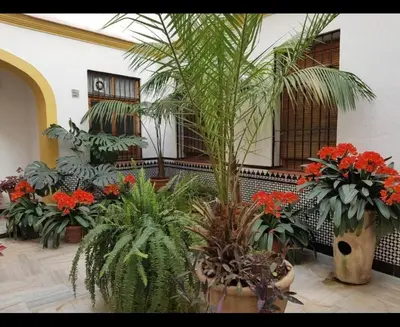 Jardín al aire libre en La casa de Tachi