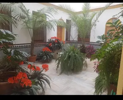 Jardín al aire libre en La casa de Tachi