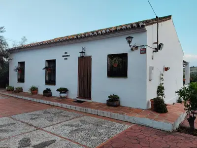 Edificio en el que se encuentra la casa o chalet