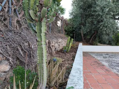 Jardín al aire libre en Los Tréboles