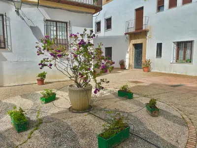 Jardín al aire libre en Orive House