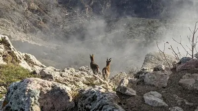 Paisaje cerca de esta habitación en casa particular
