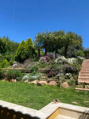 Jardín al aire libre en Cocotera
