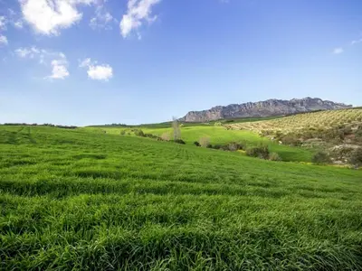 Paisaje cerca de esta casa o chalet