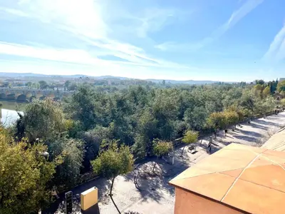 Paisaje cerca de este apartamento