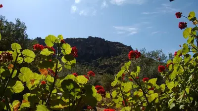 Paisaje cerca de esta casa o chalet