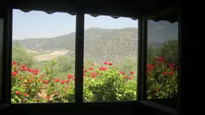 Paisaje cerca de esta casa o chalet