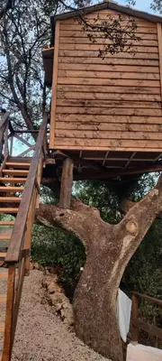 Plano de Cabaña del árbol Lavagarural