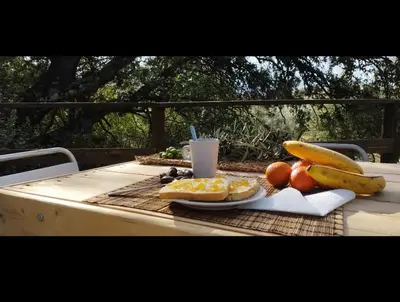 Comida en o cerca de este tented camp