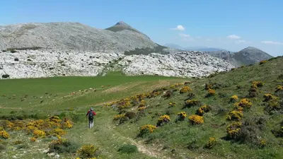 Paisaje cerca de esta casa o chalet