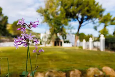 Jardín al aire libre en Finca las Pecas