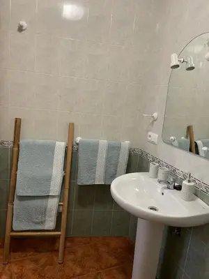 Un baño de La torrecilla