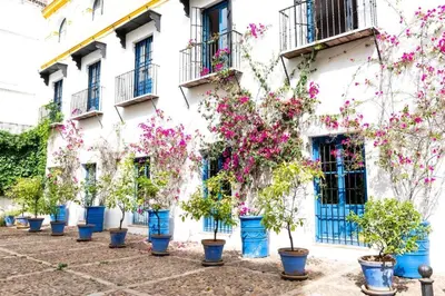 Jardín al aire libre en Tourist House Vidrio