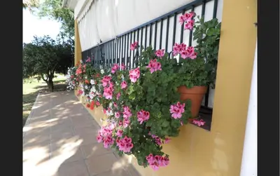 Jardín al aire libre en Casa de campo con piscina junto a Sevilla