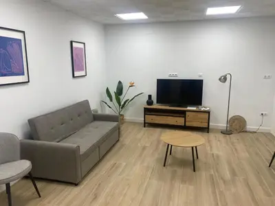 Una televisión o centro de entretenimiento en Apartamento el Pasaje