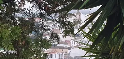 Plano de Casa Frasco