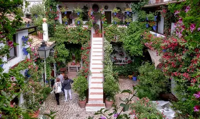 Jardín al aire libre en DS El rincón de Ravé