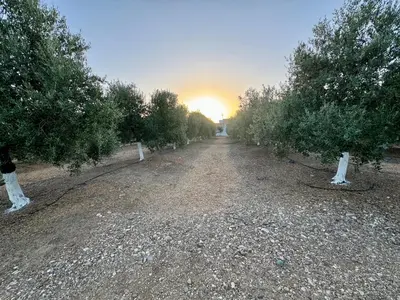 Amanecer o atardecer desde la casa o chalet o alrededores