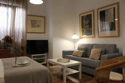 Zona de estar de Apartamentos RG calle Santiago 46