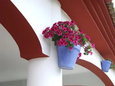 Plano de Villa Frasquita