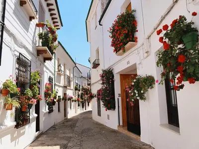 Edificio en el que se encuentra la casa o chalet