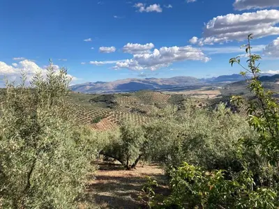Paisaje cerca de este chalet de montaña