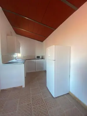Una cocina o zona de cocina en Olimpya Rural Apartments