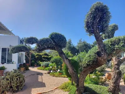 Jardín al aire libre en Finca Franca - Nudist Resort - Adults Only