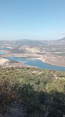 Paisaje cerca de este apartamento